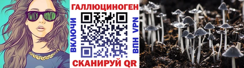 omg рабочий сайт  Аргун  Галлюциногенные грибы Psilocybine cubensis 