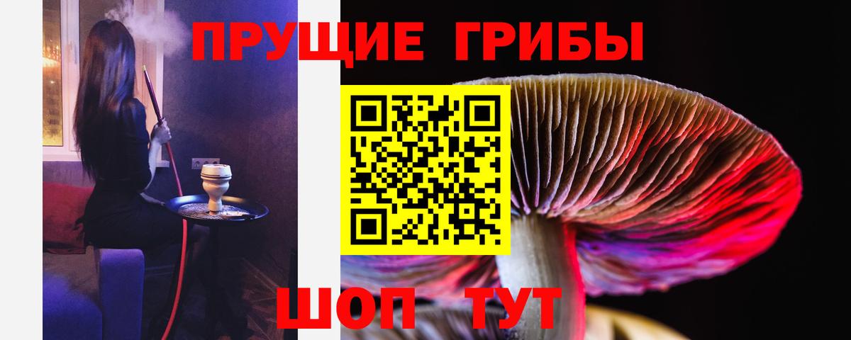 Псилоцибиновые грибы Magic Shrooms Аргун
