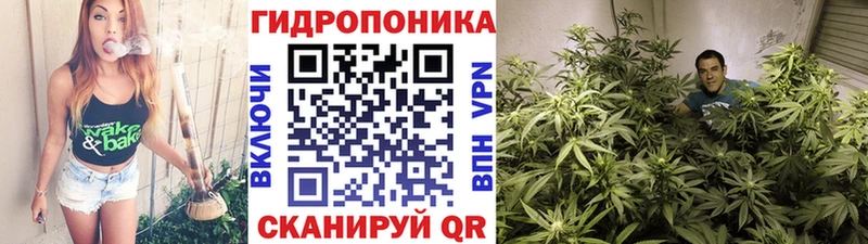 Бошки Шишки Bruce Banner Аргун