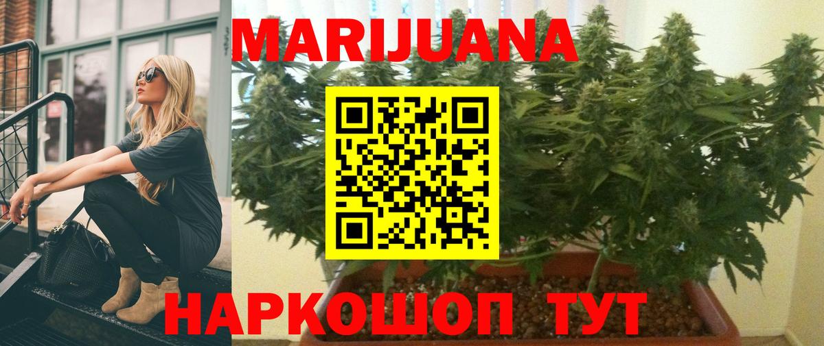 Марихуана гибрид  Каннабис THC 21%  Конопля SATIVA & INDICA  Аргун  Вход с VPN 